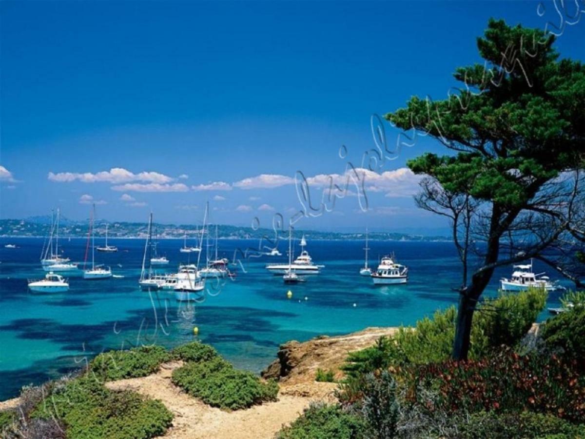 Magnifique Parc De La Presqu'Ile Avec Piscine Et Plage Face A Porquerolles ! Йер Экстерьер фото