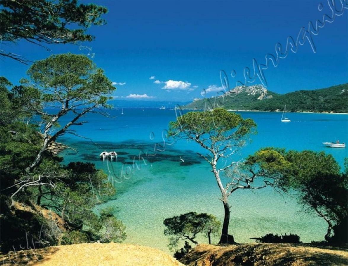 Magnifique Parc De La Presqu'Ile Avec Piscine Et Plage Face A Porquerolles ! Йер Экстерьер фото